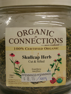 Skullcap - C/S